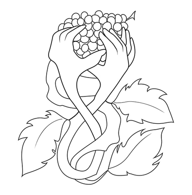 vector-conversion-services-line-drawings